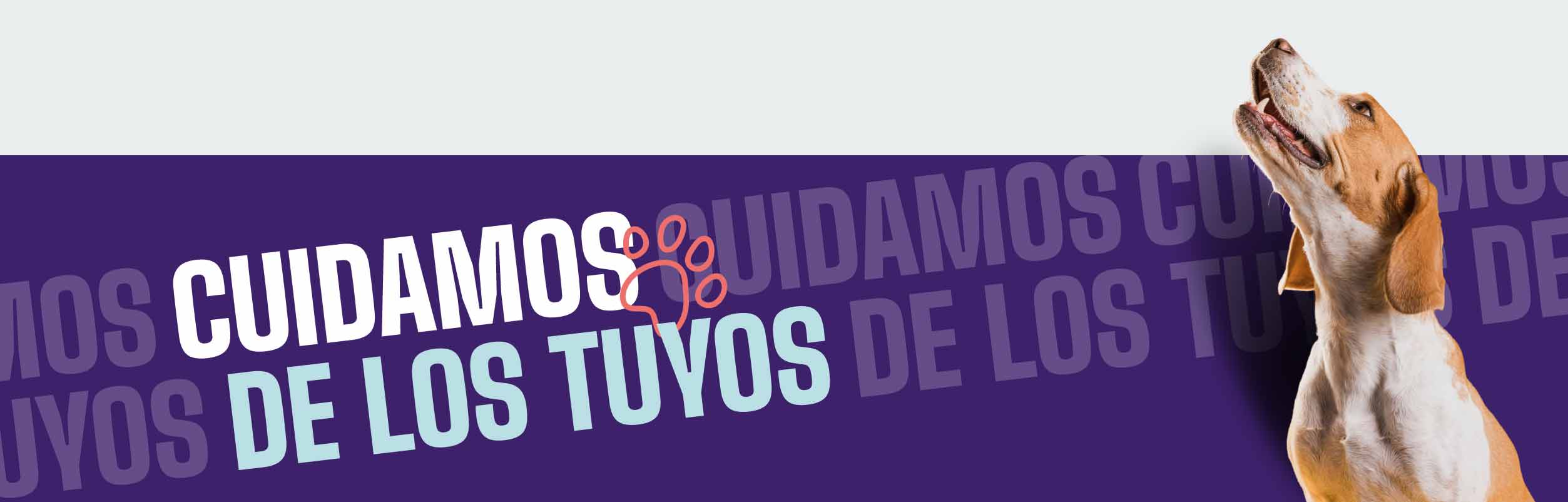 cuidamos de tus mascotas