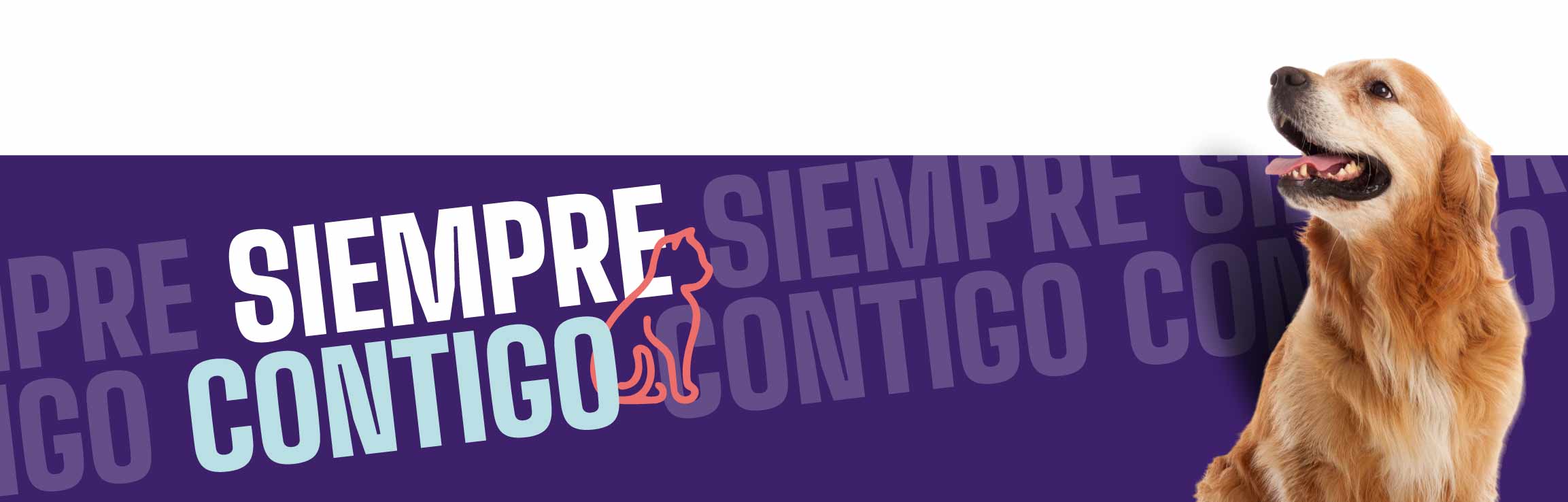 siempre con tus mascotas