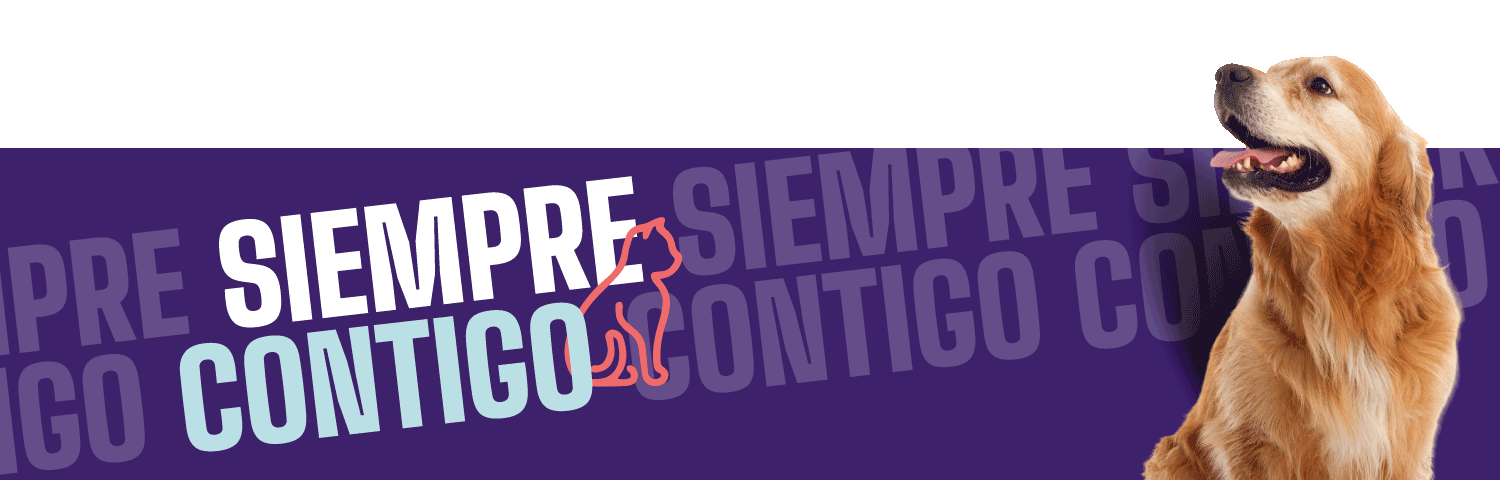 siempre con tus mascotas