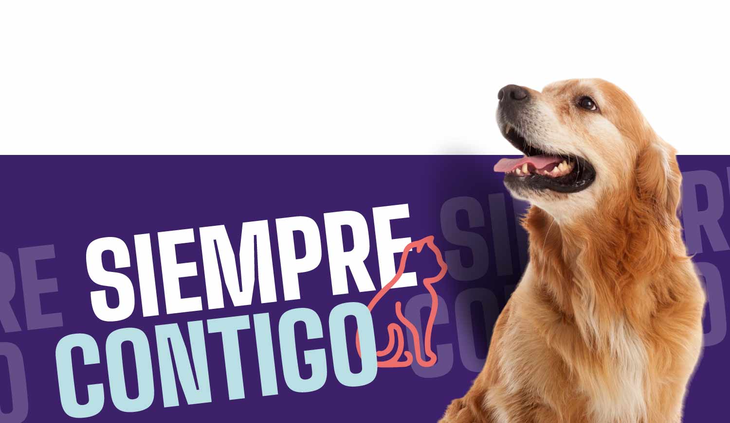 siempre con tus mascotas