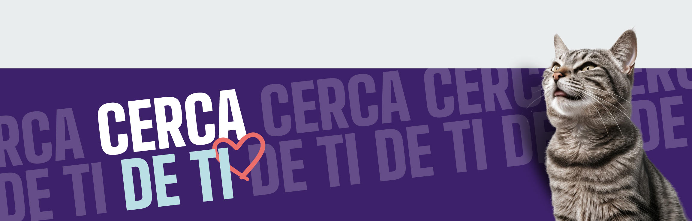 cerca de tus mascotas
