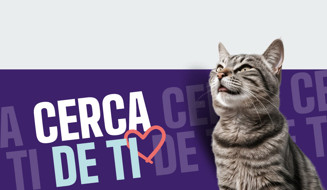 cerca de tus mascotas