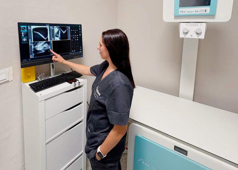 Consulta de diagnostico por imagen en Lugo